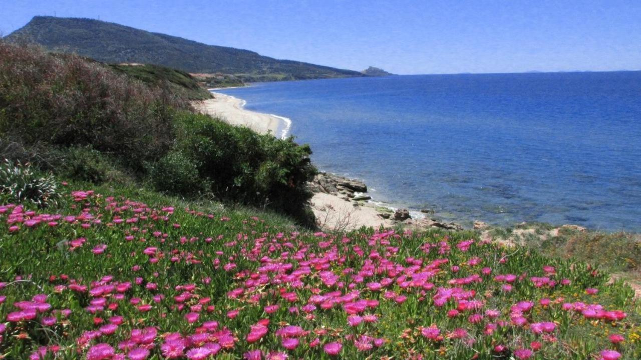Alba Stupendo Appartamento In Villa Fronte Mare - Golfo Dell'Asinara - Internet Free Valledoria  Exterior photo