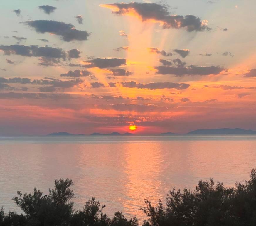 Alba Stupendo Appartamento In Villa Fronte Mare - Golfo Dell'Asinara - Internet Free Valledoria  Exterior photo